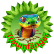 Traumfaenger
